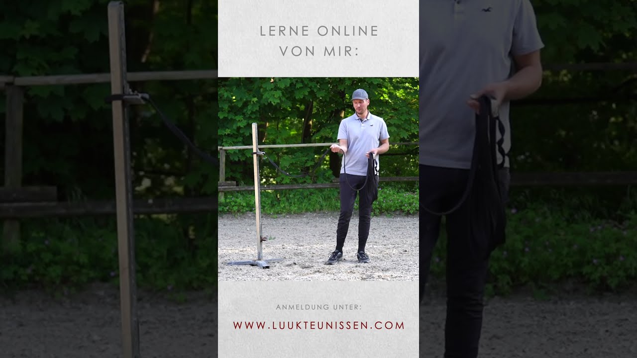 Die Longe richtig halten und aufrollen - Reitsport