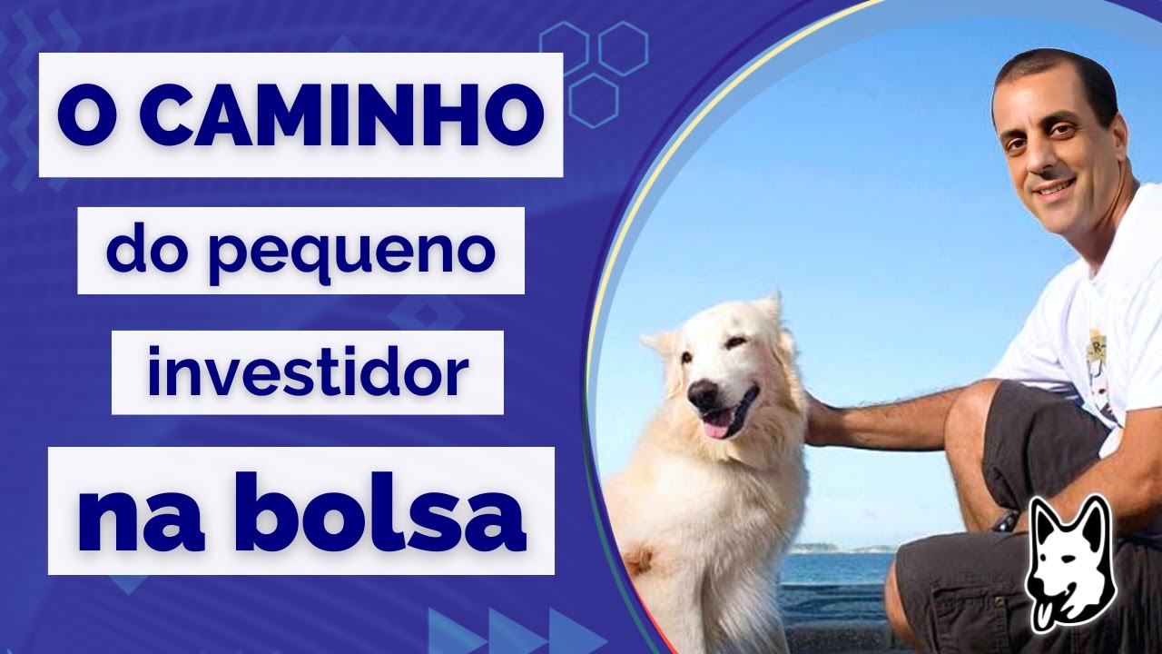 O Caminho do Pequeno Investidor na Bolsa de Valores