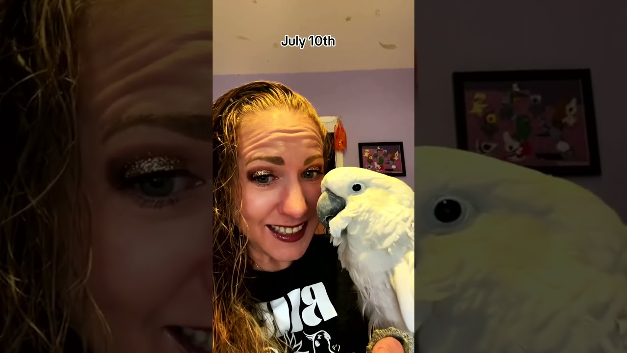 Parrot Screaming for No Reason