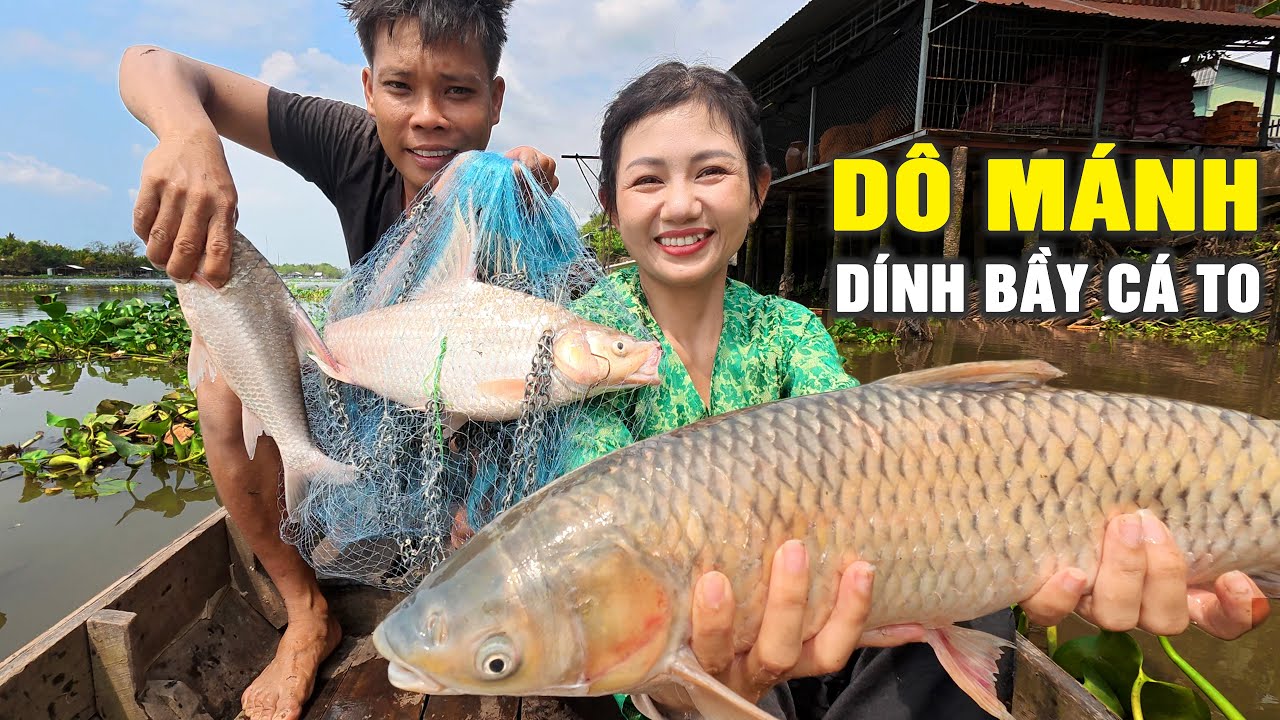 🔴 Trúng Bầy Cá To Mang Ra Chợ Bán | Cẩm Hằng