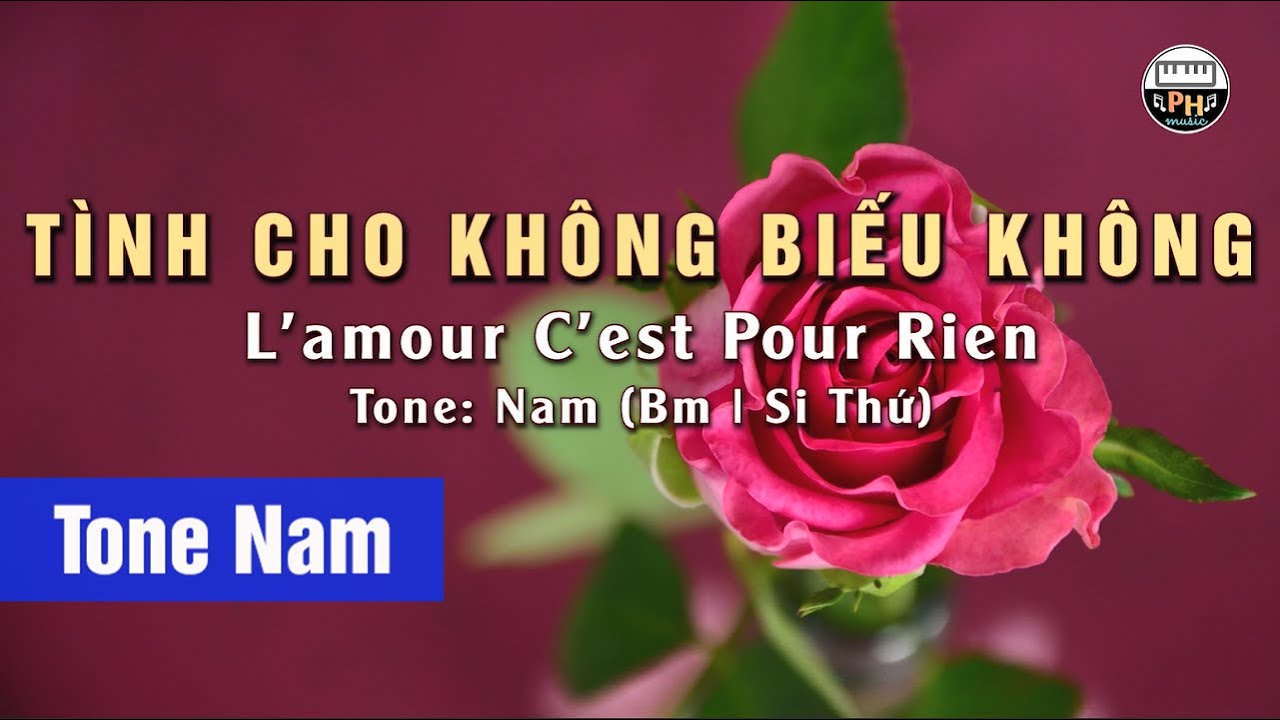 Tình Cho Không Biếu Không (L'amour C'est Pour Rien) | Karaoke | Tone Nam | Beat Chuẩn
