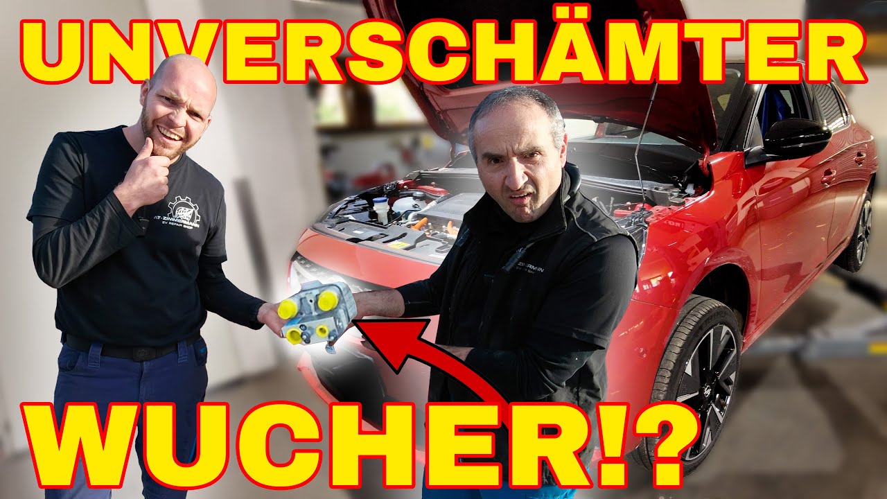 Deutscher Autobauer will 1700€ für dieses kleine Problem!