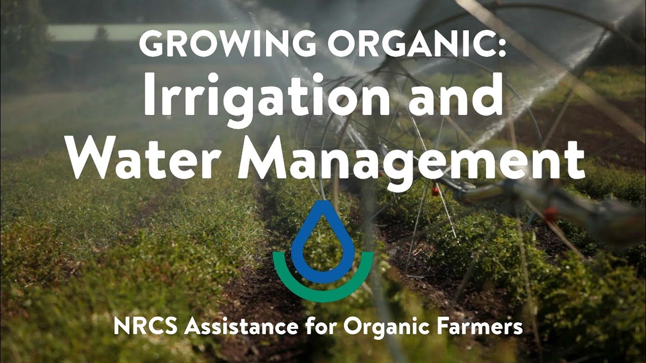 Irrigation and Water Management