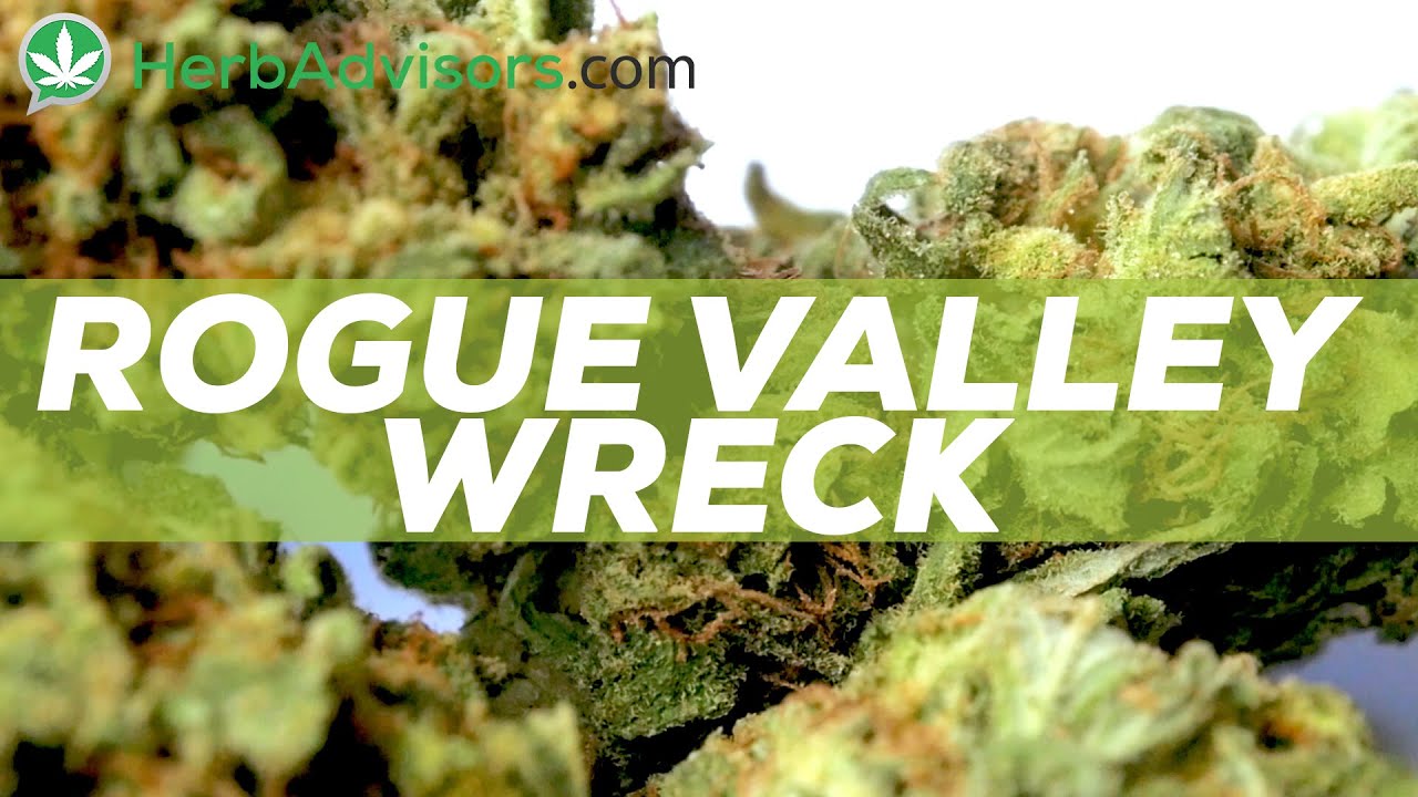 Rogue Valley Wreck Strain Review by HerbAdvisors.com