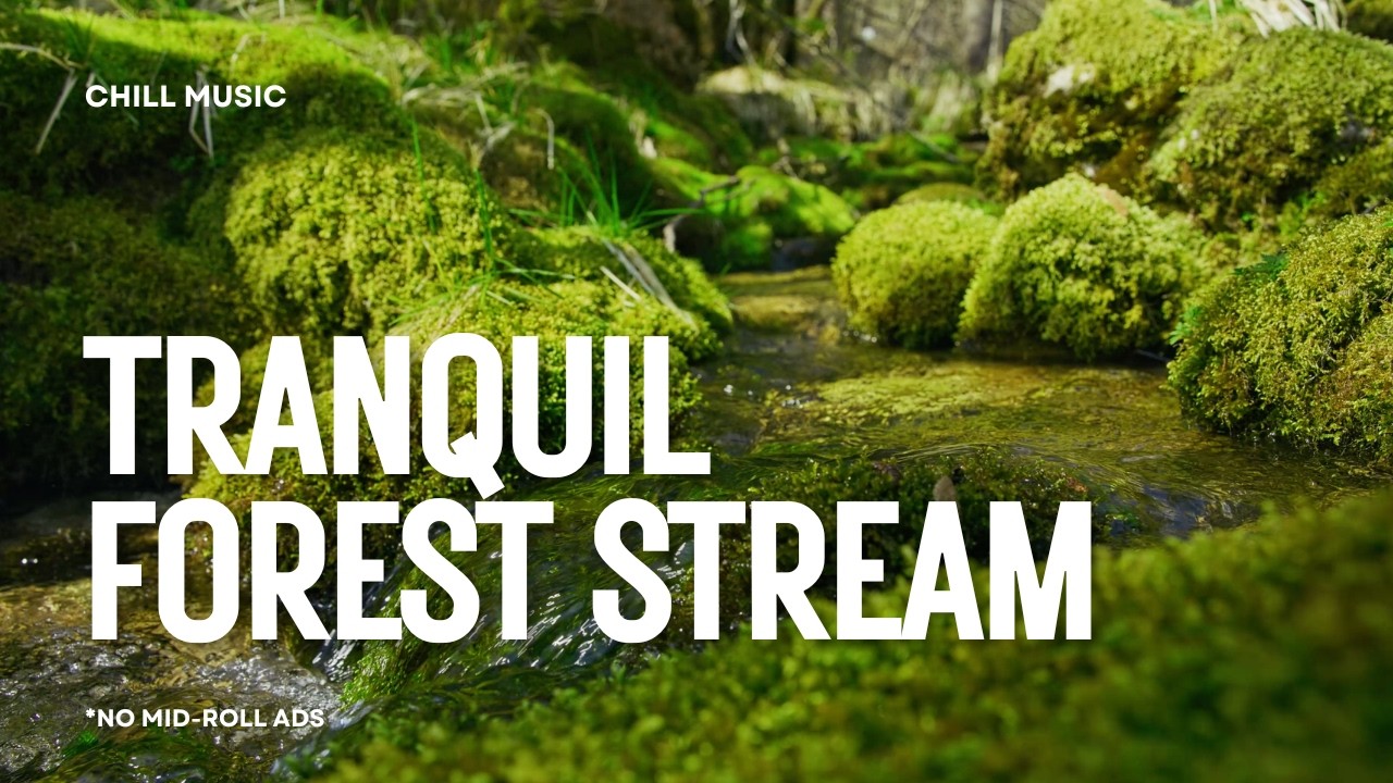 Chill Lofi Jazz - Nature's Peaceful Stream 🌲