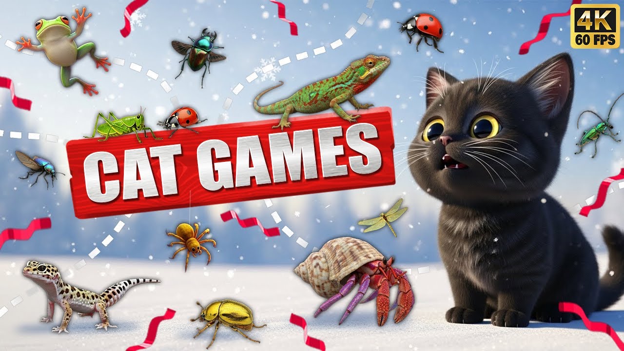 CAT GAMES 🐾3D Game for Cats | Video for Cats  – Ultimate CAT TV 