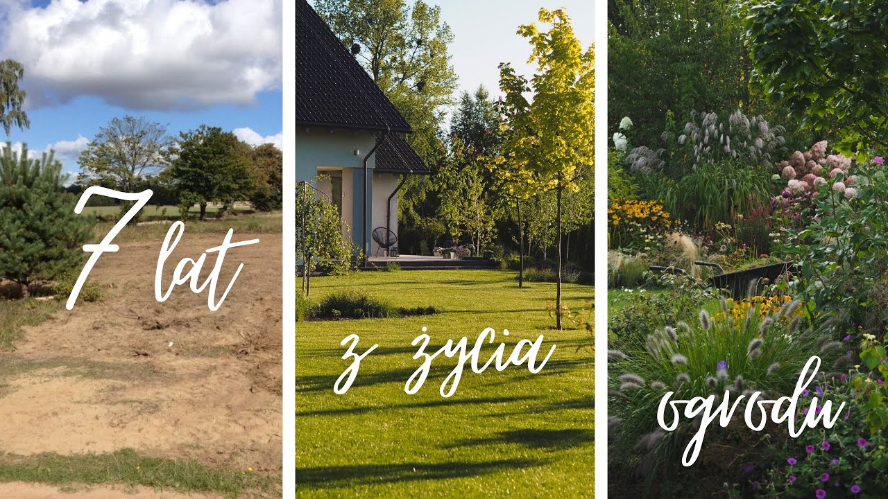 Jak zakładaliśmy ogród i co się zmieniło w ciągu 7 lat