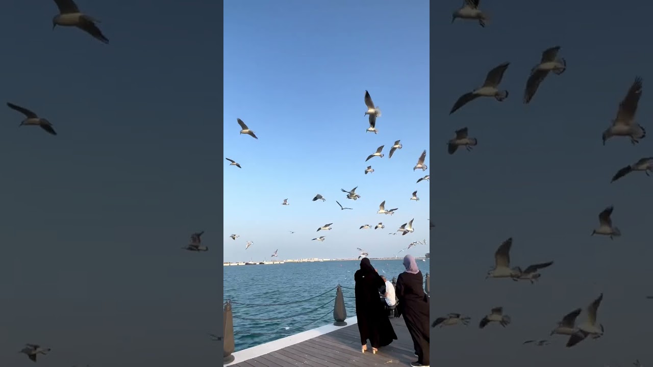 Doha Qatar / doha cruise ship port / Qatar Beautiful Places. # Beautiful # Beaches # Places.