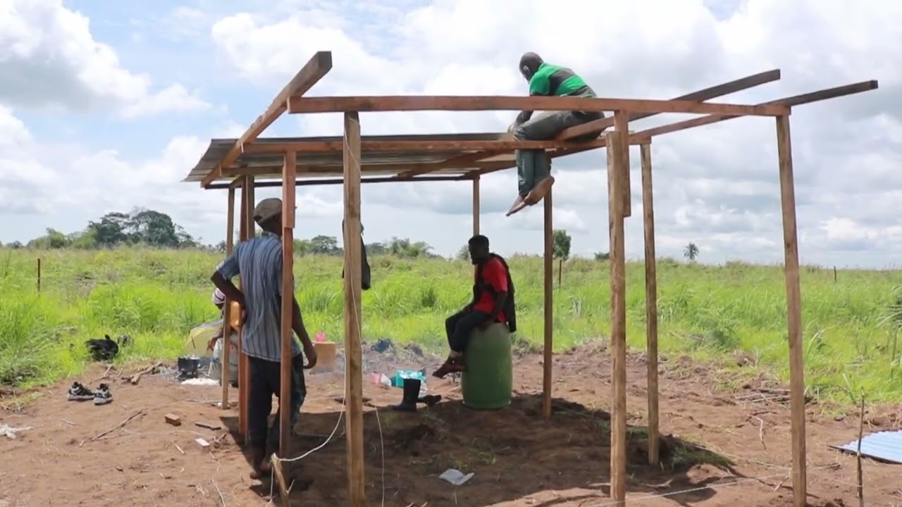 Farming In Kinshasa In 2022! Building A Low Budget Security Outpost On My Farmland
