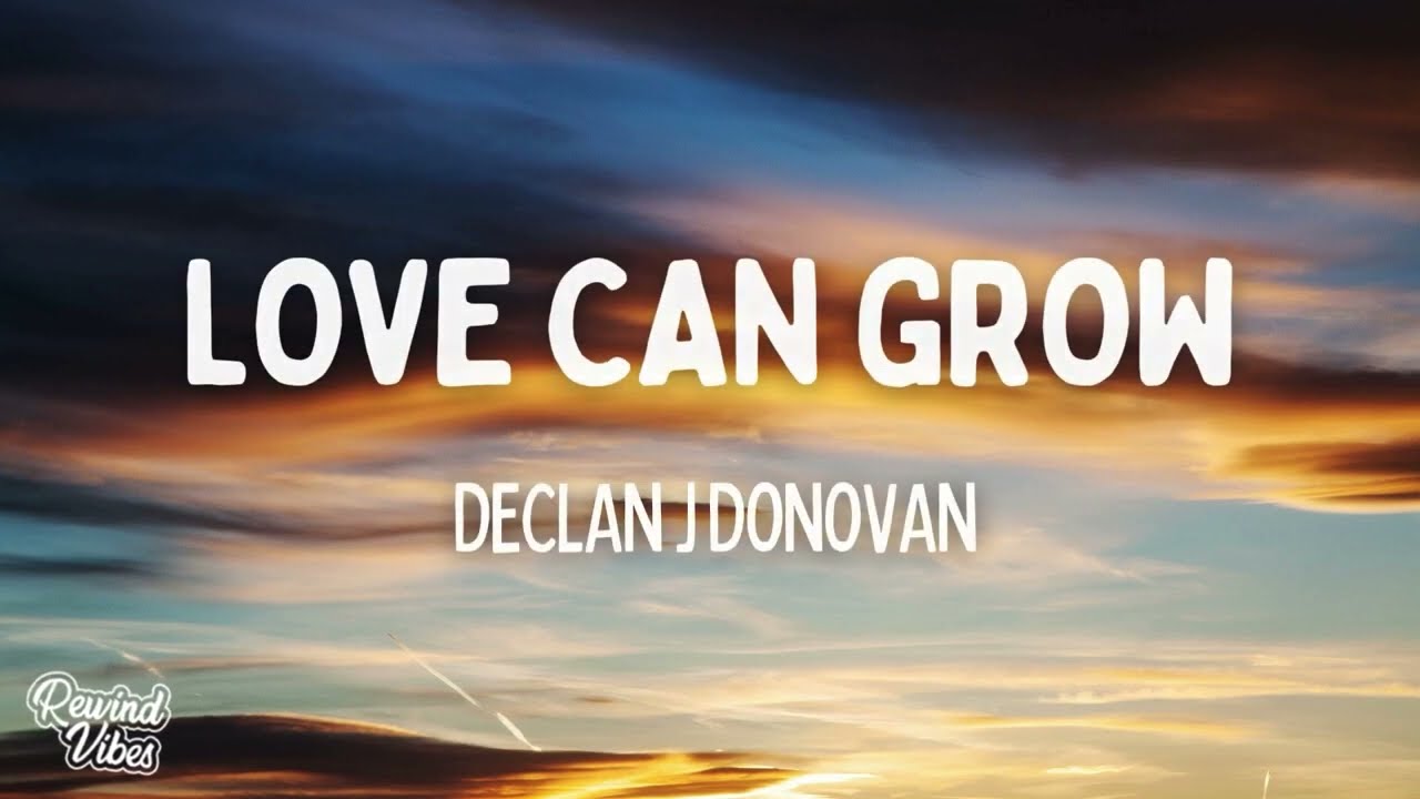 Declan J Donovan - Love Can Grow (Lyrics)