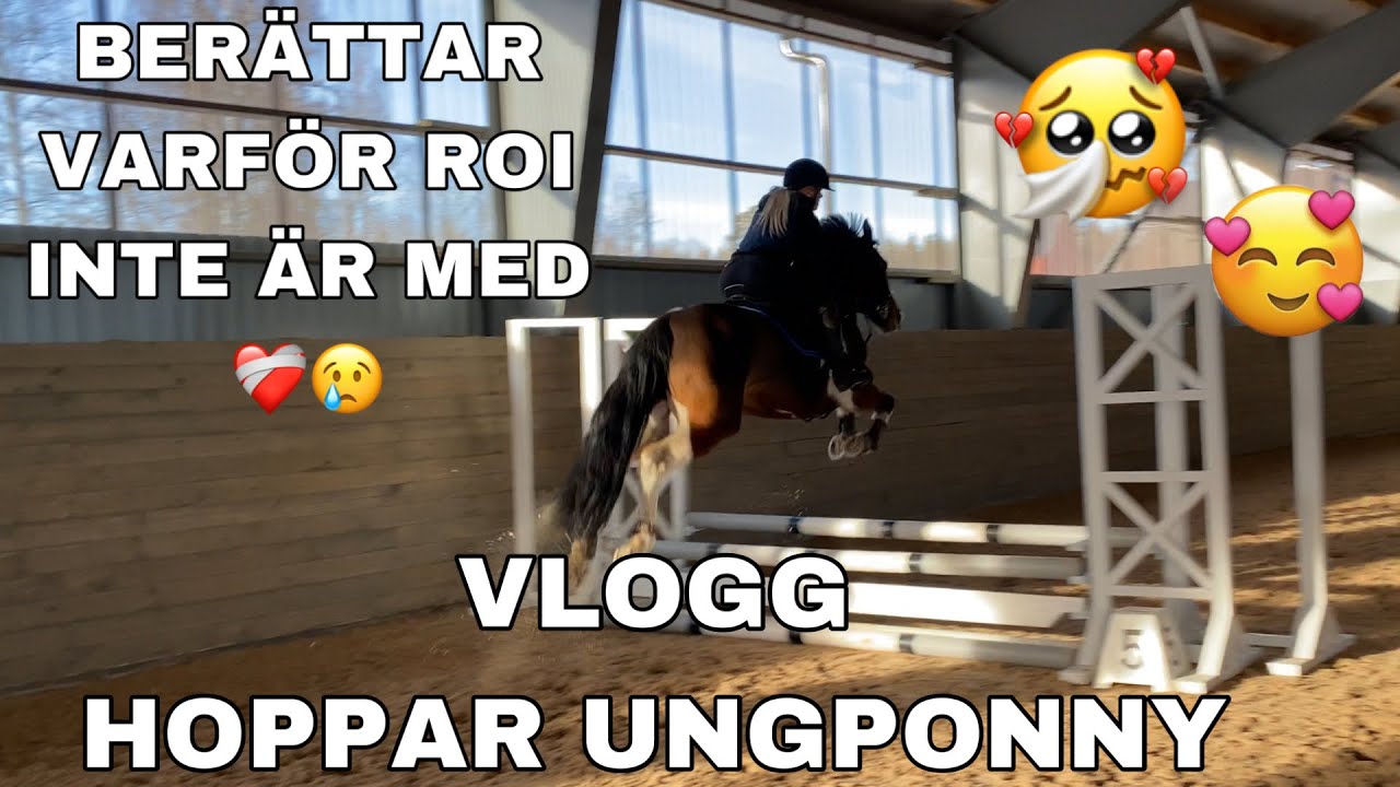 VLOGG - ÅKER PÅ ÖPPEN BANA MED NY HÄST OCH BERÄTTAR VARFÖR ROI INTE ÄR MED
