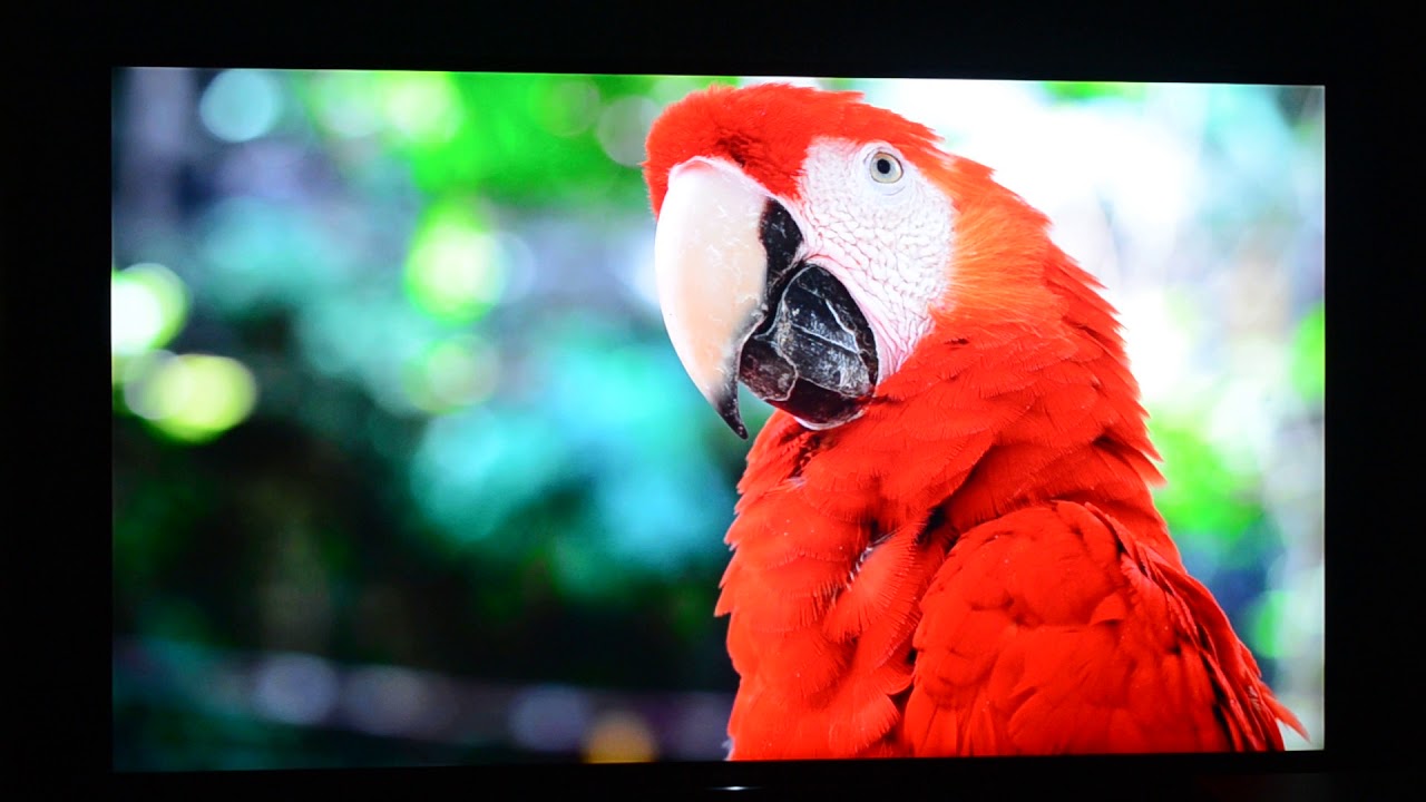 4K Video Sony KD-43XE8096