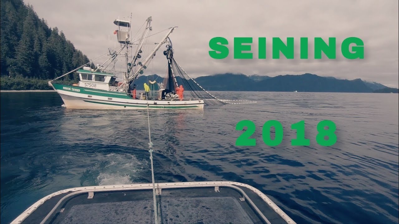 Commercial Fishing in Alaska: A Set from the Skiff