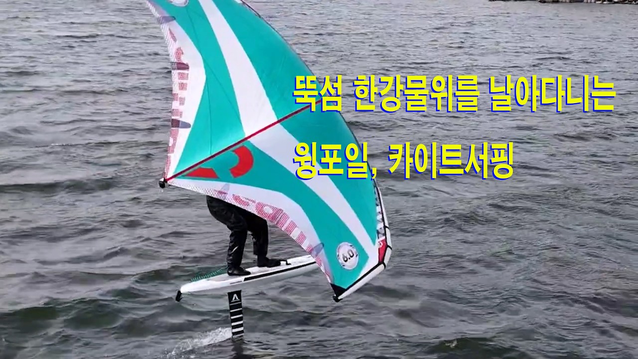 2026 02 23 뚝섬 윙포일