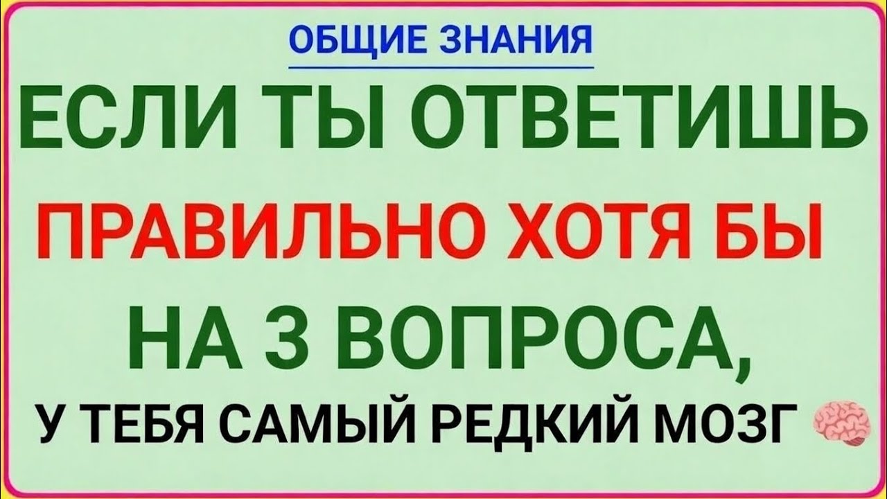 🔥 Только 1% смогут ответить на 3 из этих вопросов