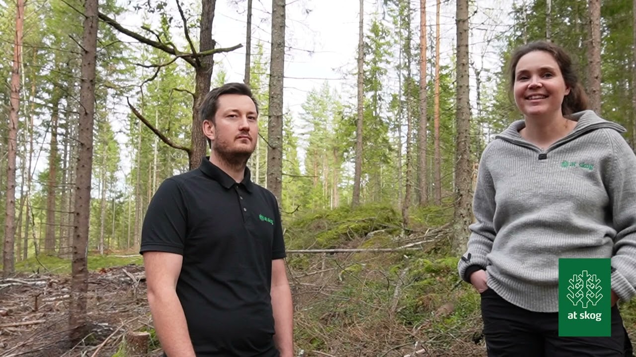 AT Studio: Hva, hvorfor og hvordan om lukket hogst