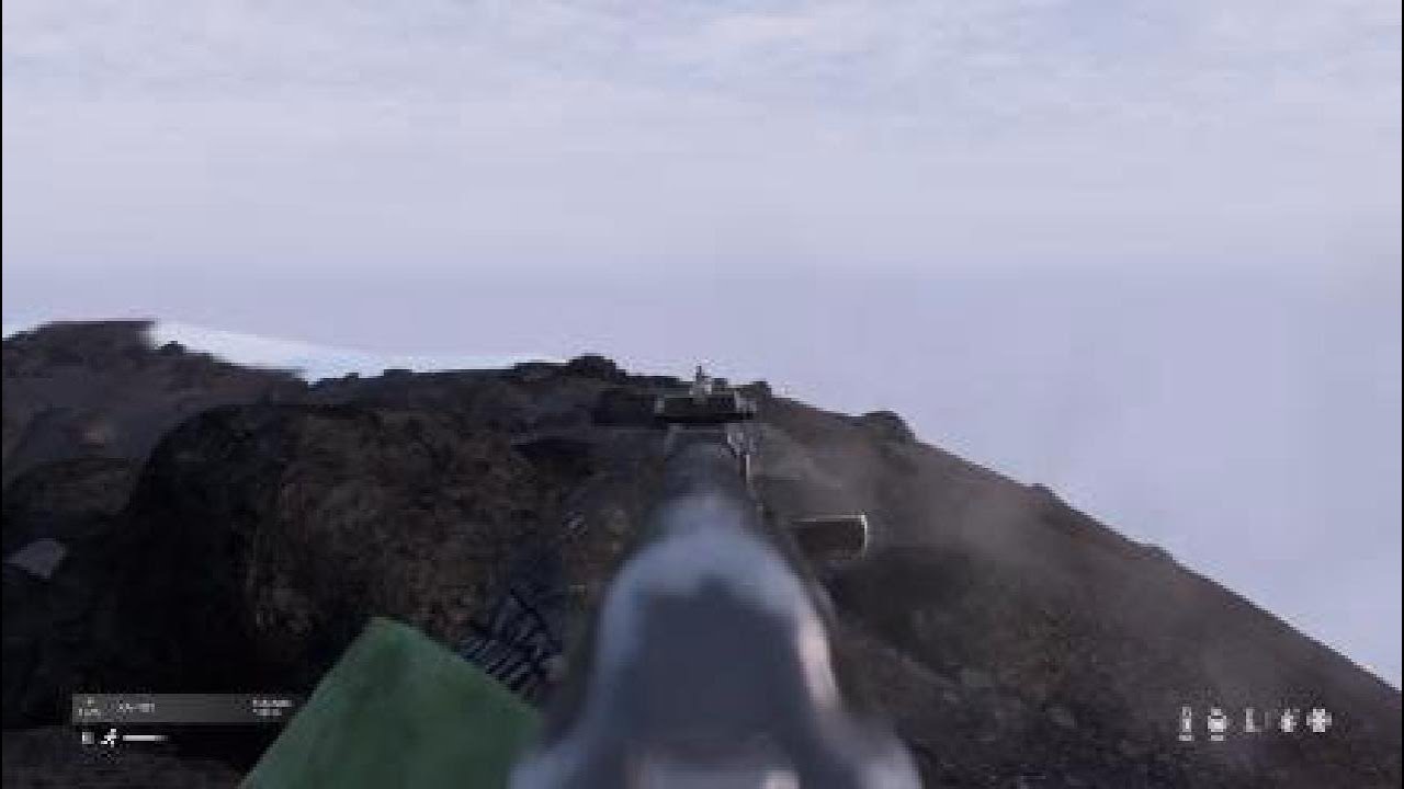 Dayz going the distance!!
