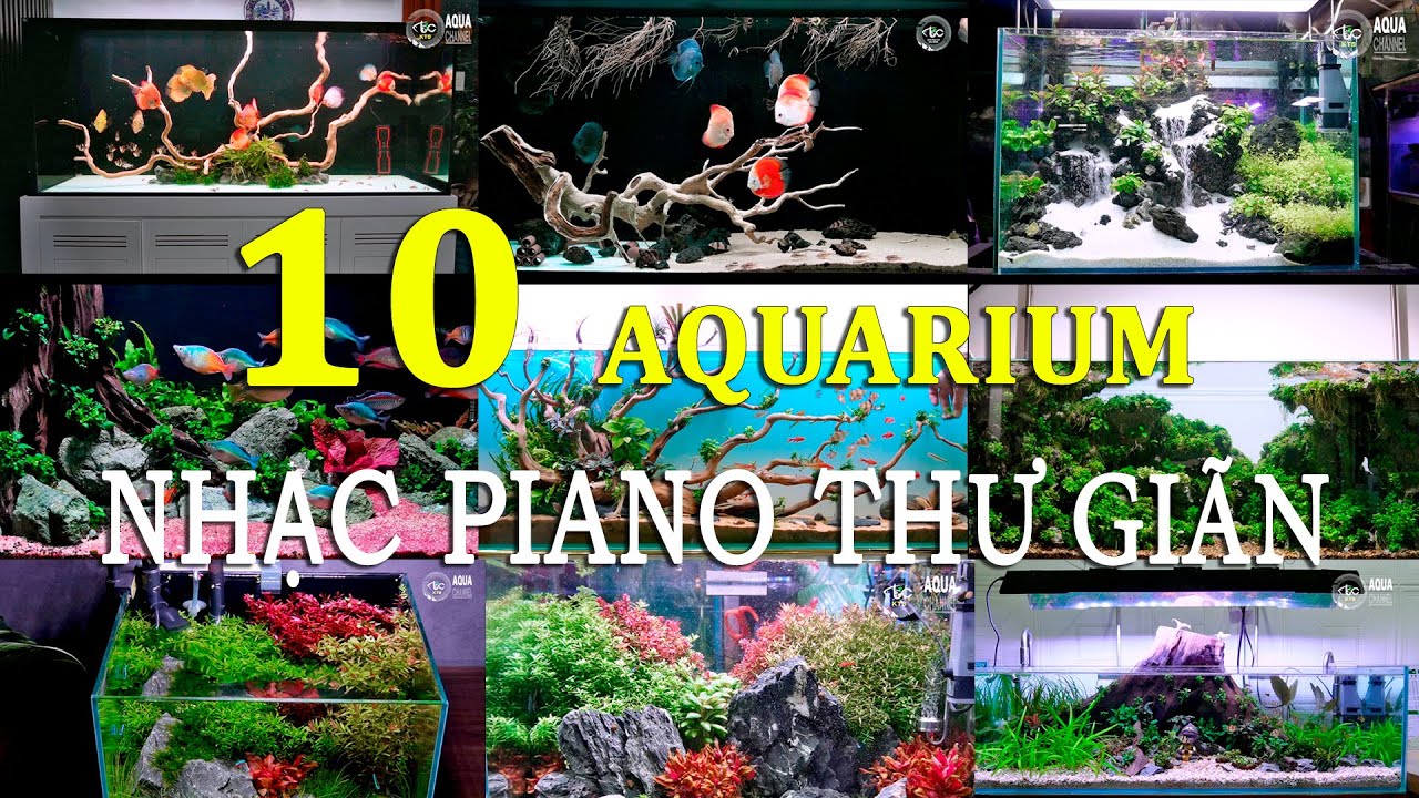 10 Bể mang phong cách khác nhau - Nhạc piano thư giãn