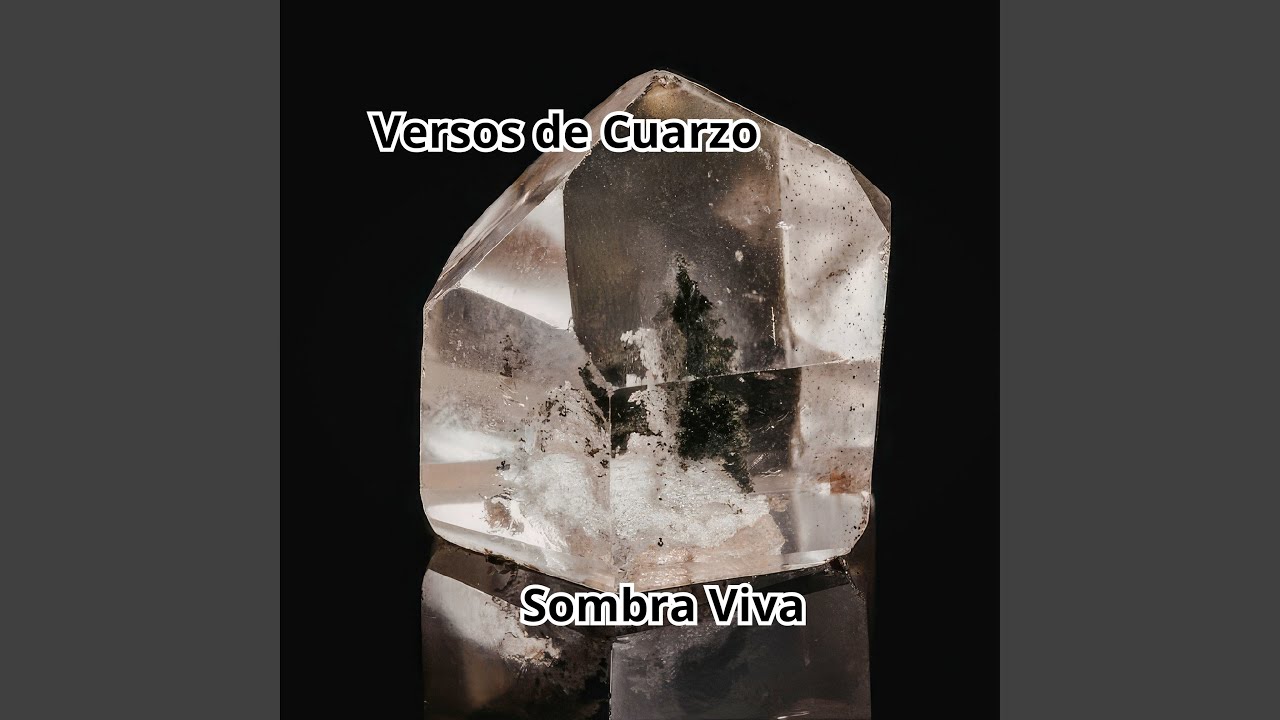 Pulso Gris