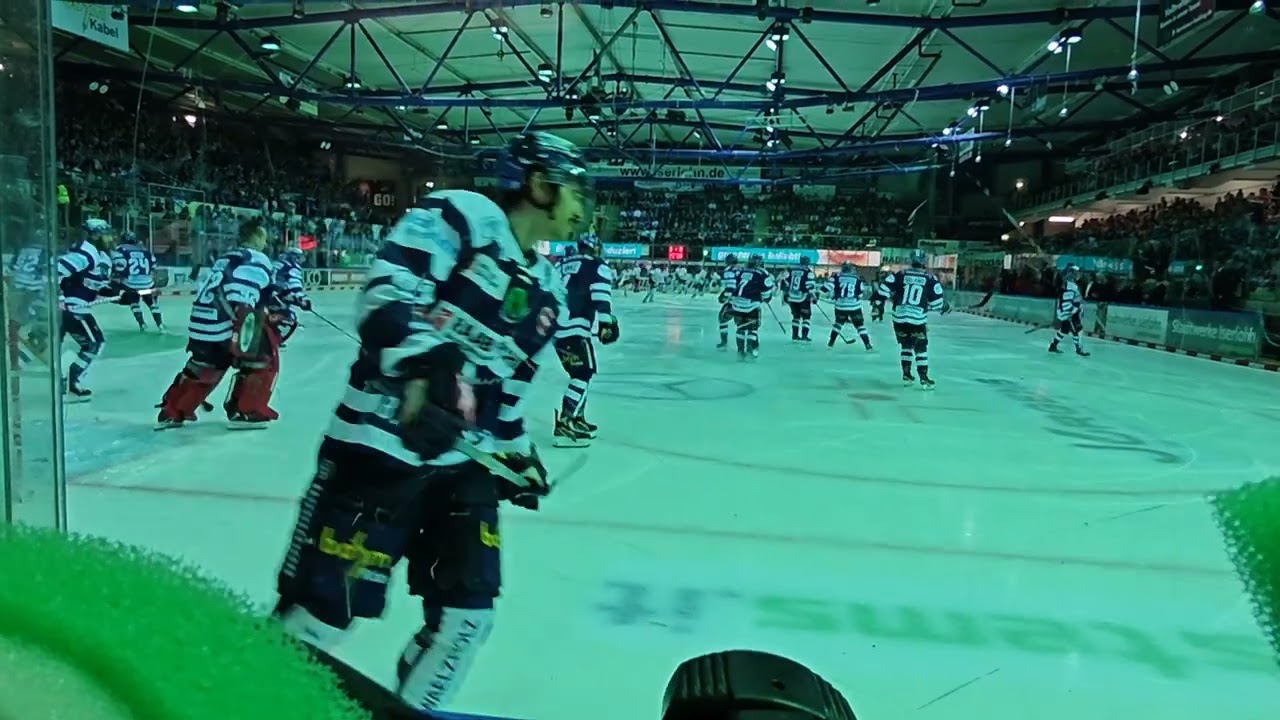 Stimmung beim Heimspiel Kölner Haie vs. Iserlohn Roosters