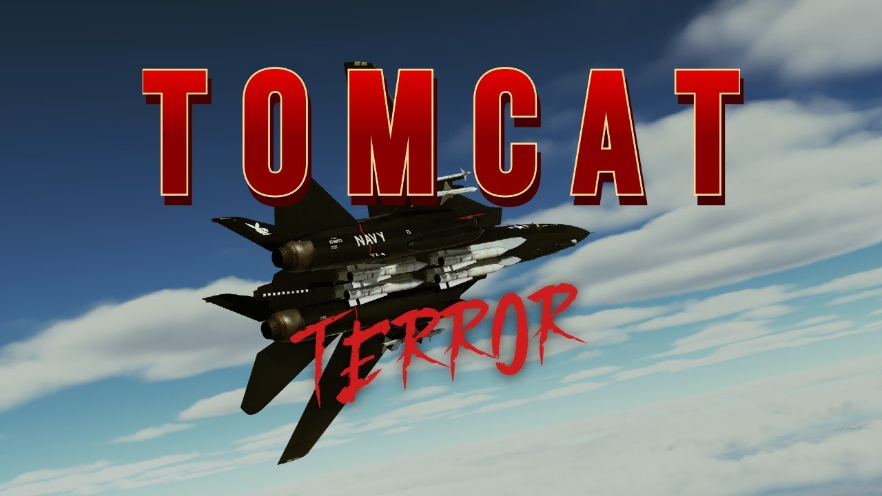 DCS: Tomcat Terror