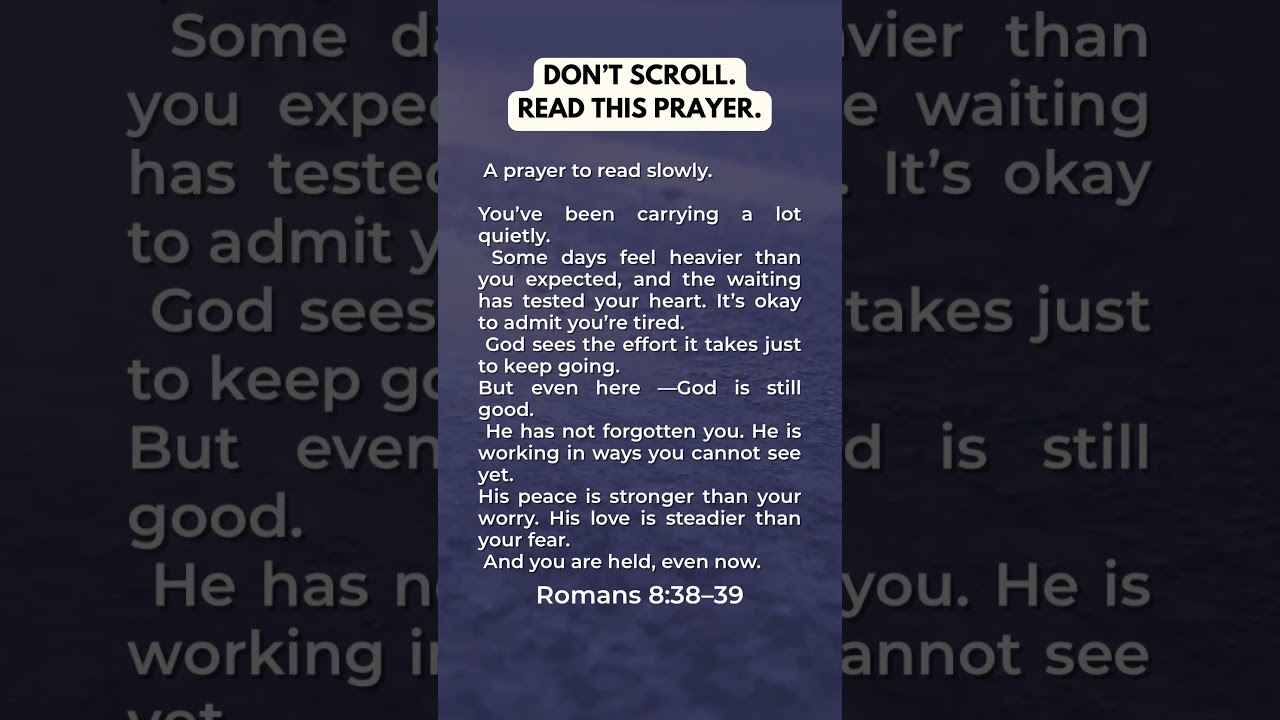 You Are Held| A Prayer for Peace  