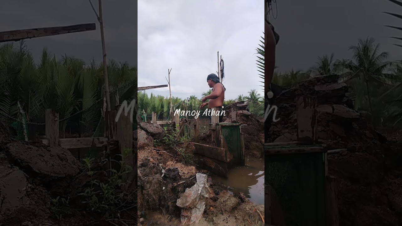 Pag demolished sa trampa na kahoy mga master