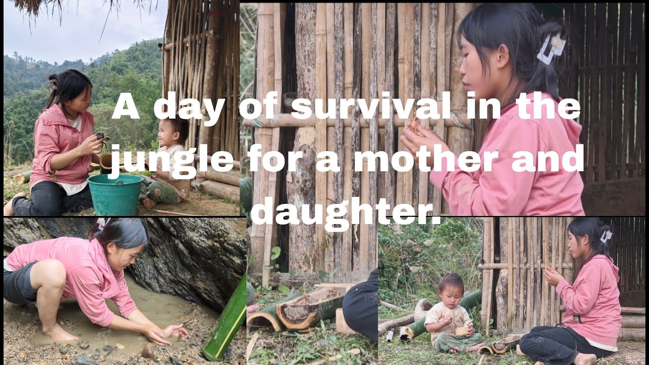 Life in the Forest: A Mother Silently Searching for Food to Feed Her Child.everyday