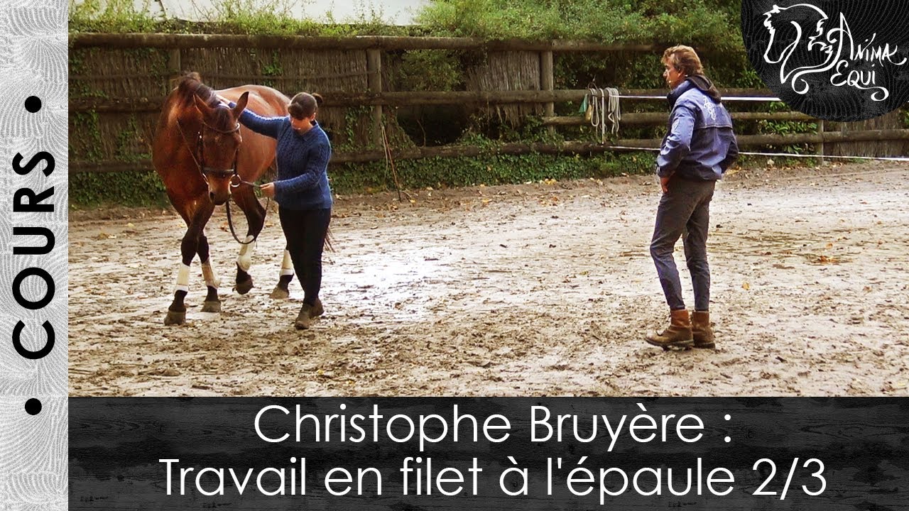 • COURS • Christophe Bruyère : Travail en filet à l'épaule 2/3