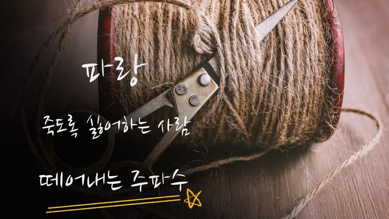 (신청주파수)죽도록 싫어하는 사람 떼어내는 주파수