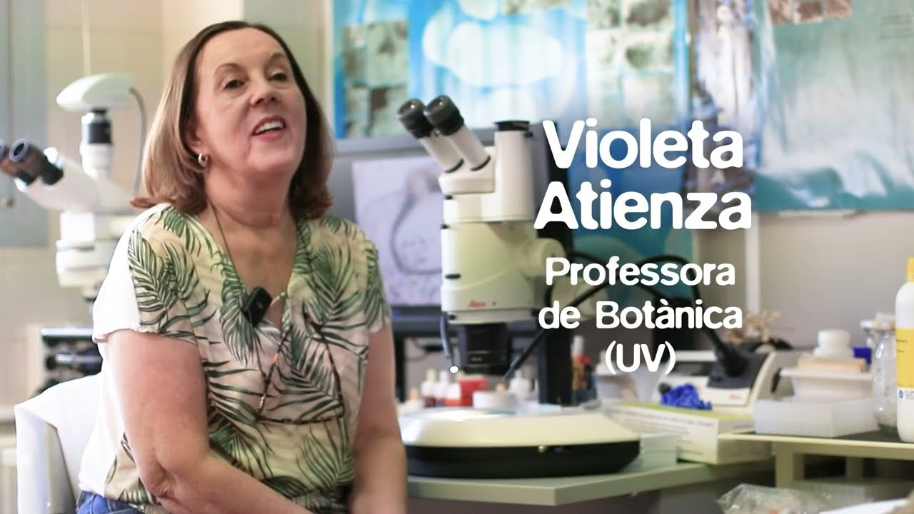 La diversitat oculta dels líquens - Entrevista a Violeta Atienza