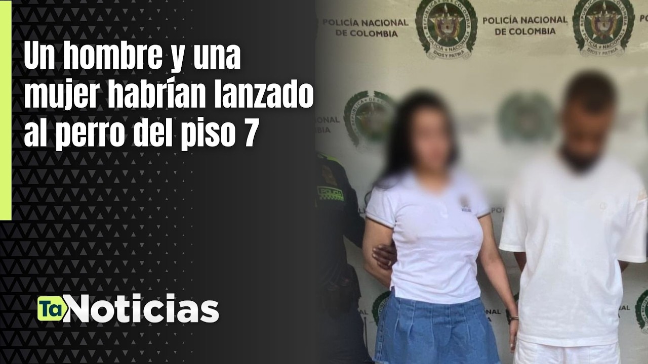 Un hombre y una mujer habrían lanzado al perro del piso 7 - Teleantioquia Noticias