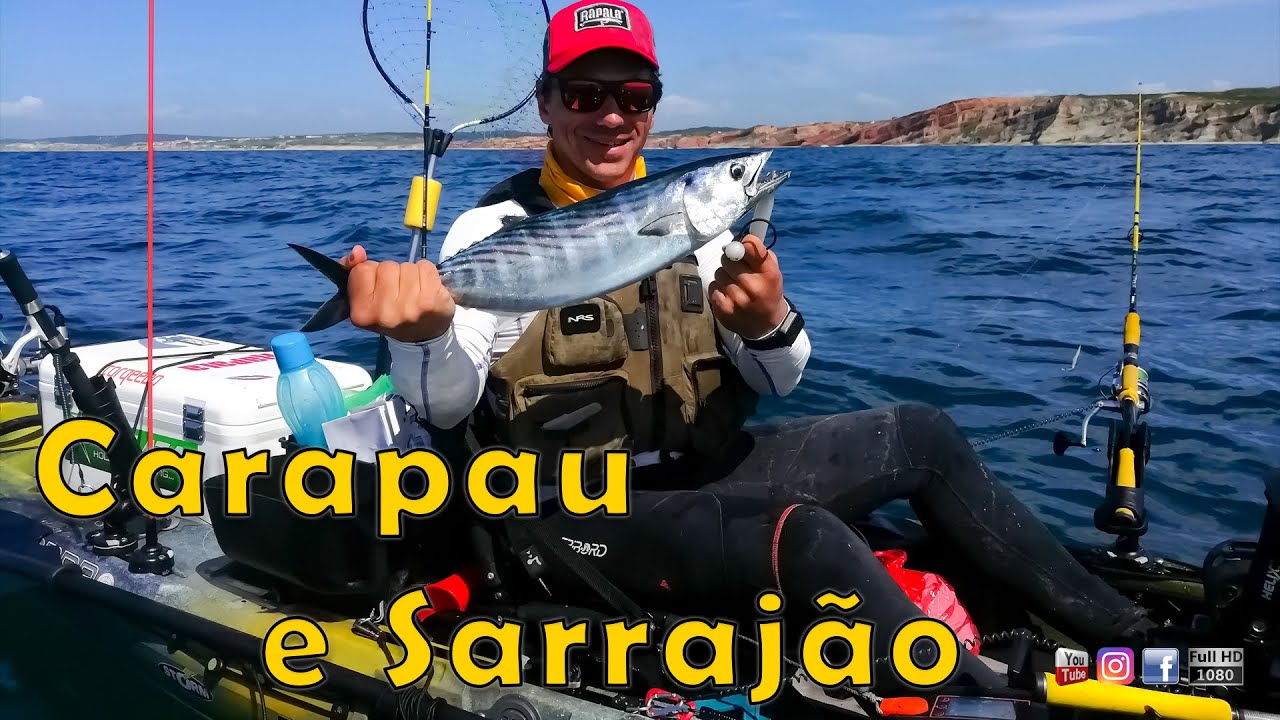 Carapau e Sarrajão | Horse Mackerel and a Tuna Bonito