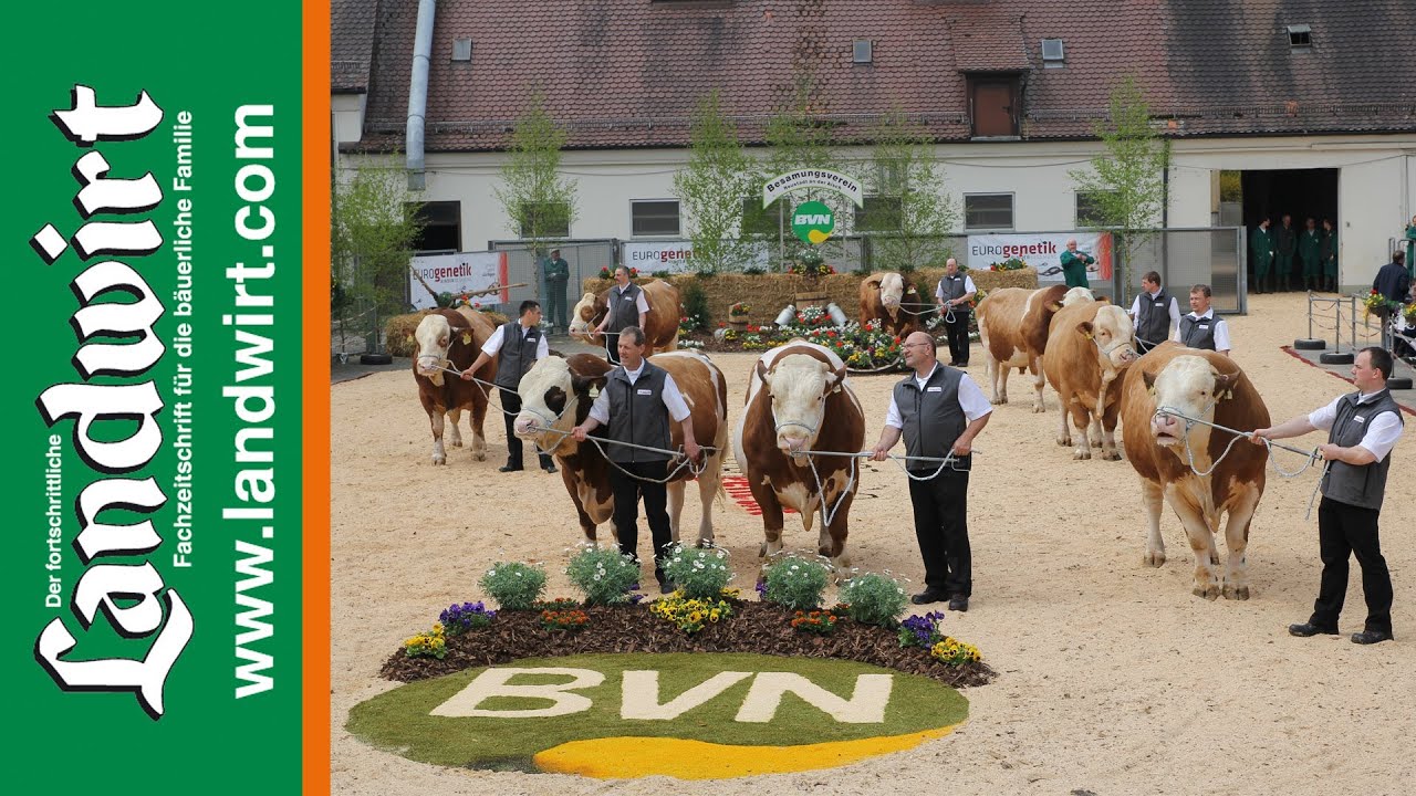 BVN Bullenparade 2013