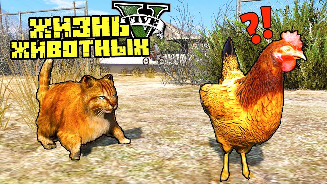 ГОЛОДНЫЙ КОТ ИЩЕТ ЕДУ! ЖИЗНЬ ЖИВОТНЫХ В GTA 5. Серия 9