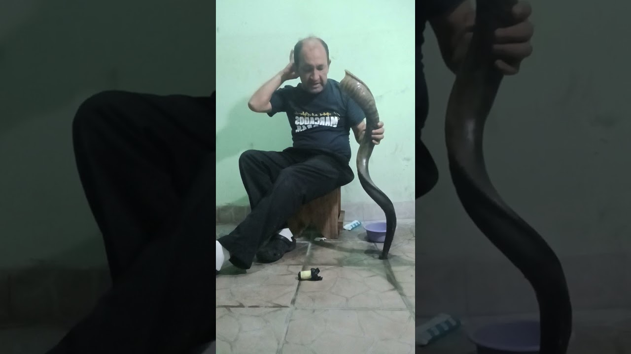 como poder limpiar un  shofar  parte 1