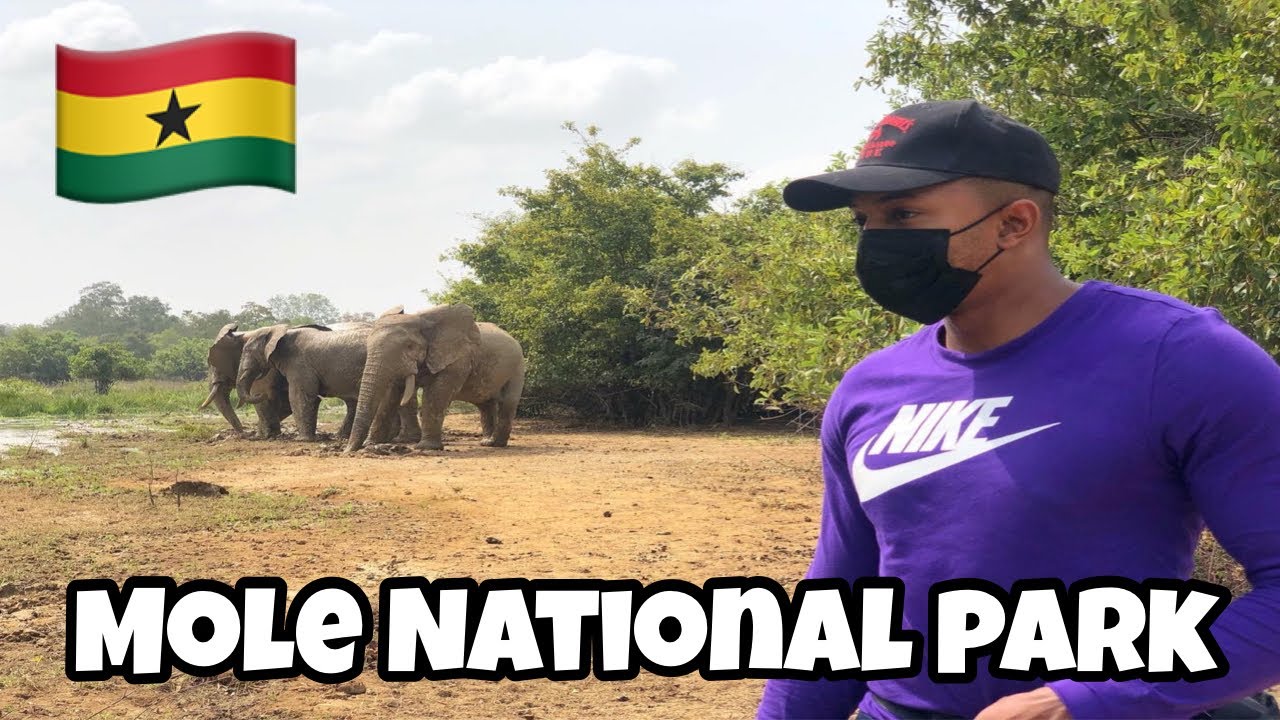 I WENT TO MOLE NATIONAL PARK SAFARI FOR THE DAY AND THIS HAPPENED GHANA ...
