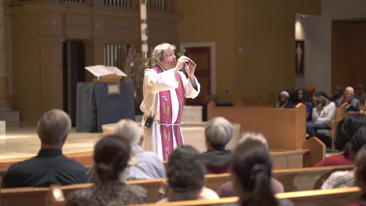 Virgin Mary at the Wedding Feast (AWESOME BREAK DOWN) w/ Fr. Hugh Gillespie