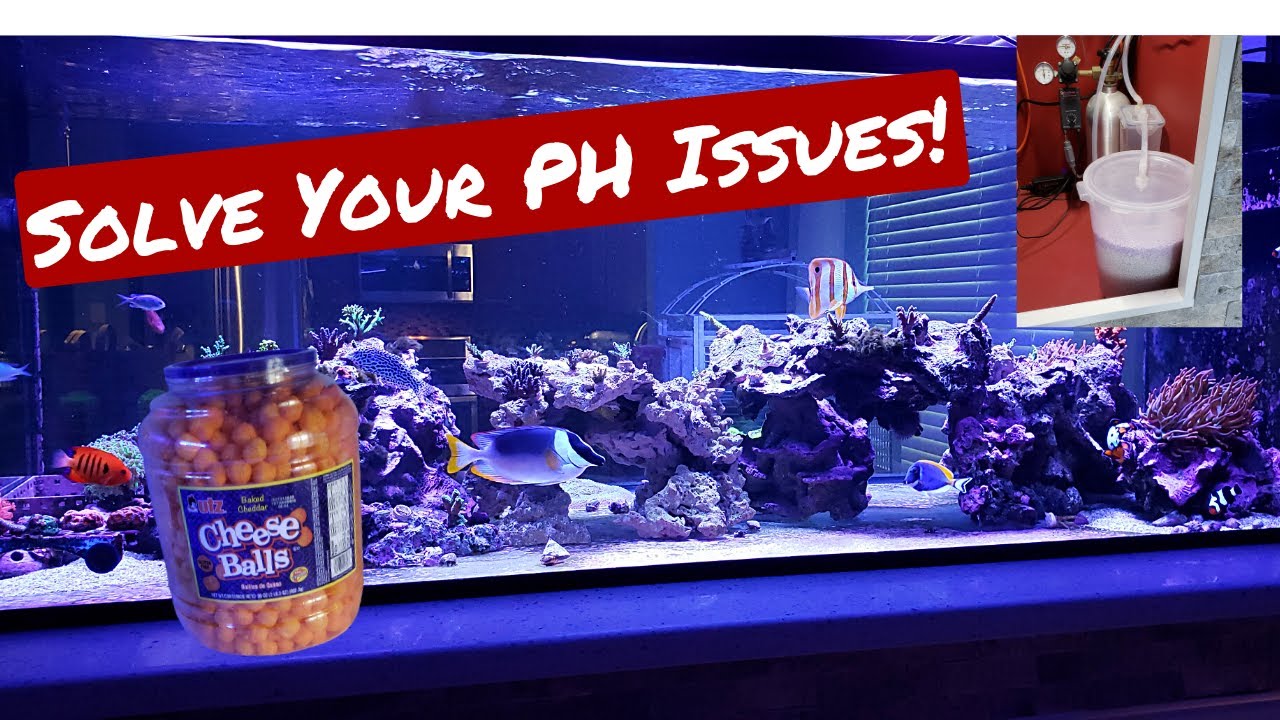 Increase Coral Growth - DIY CO2 Scrubber! Fix Your Low PH Problems!