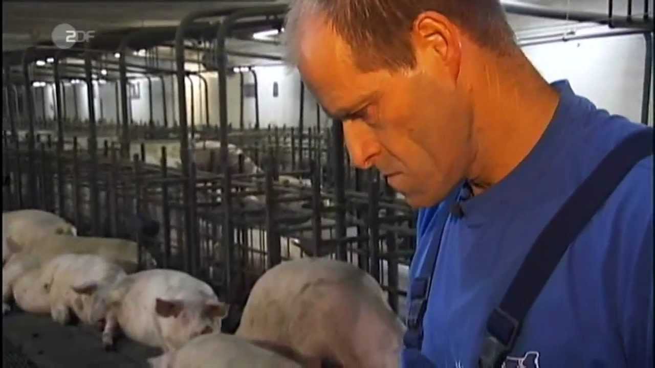 Tierschutzgesetz