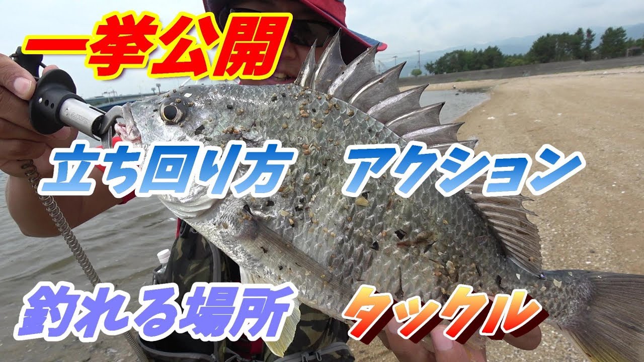 【チニング解説動画】これで一日10匹釣れるようになる！？【初心者向け】