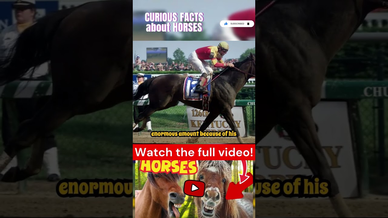 Facts about horses Part 23 