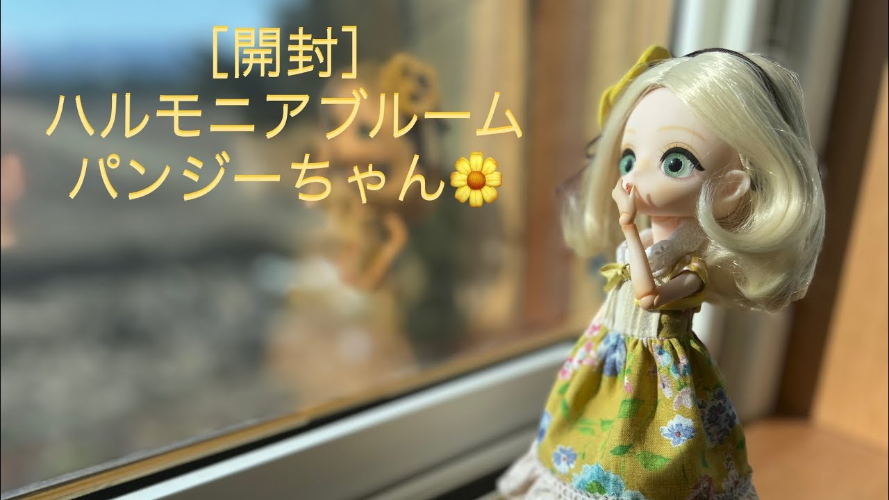 ハルモニアブルームのパンジーちゃん🌼開封したよ◎