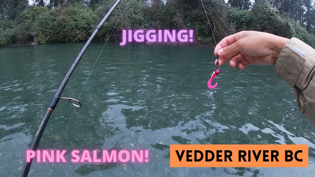 EASY WAY TO JIG FOR PINK SALMON! Vedder river BC.