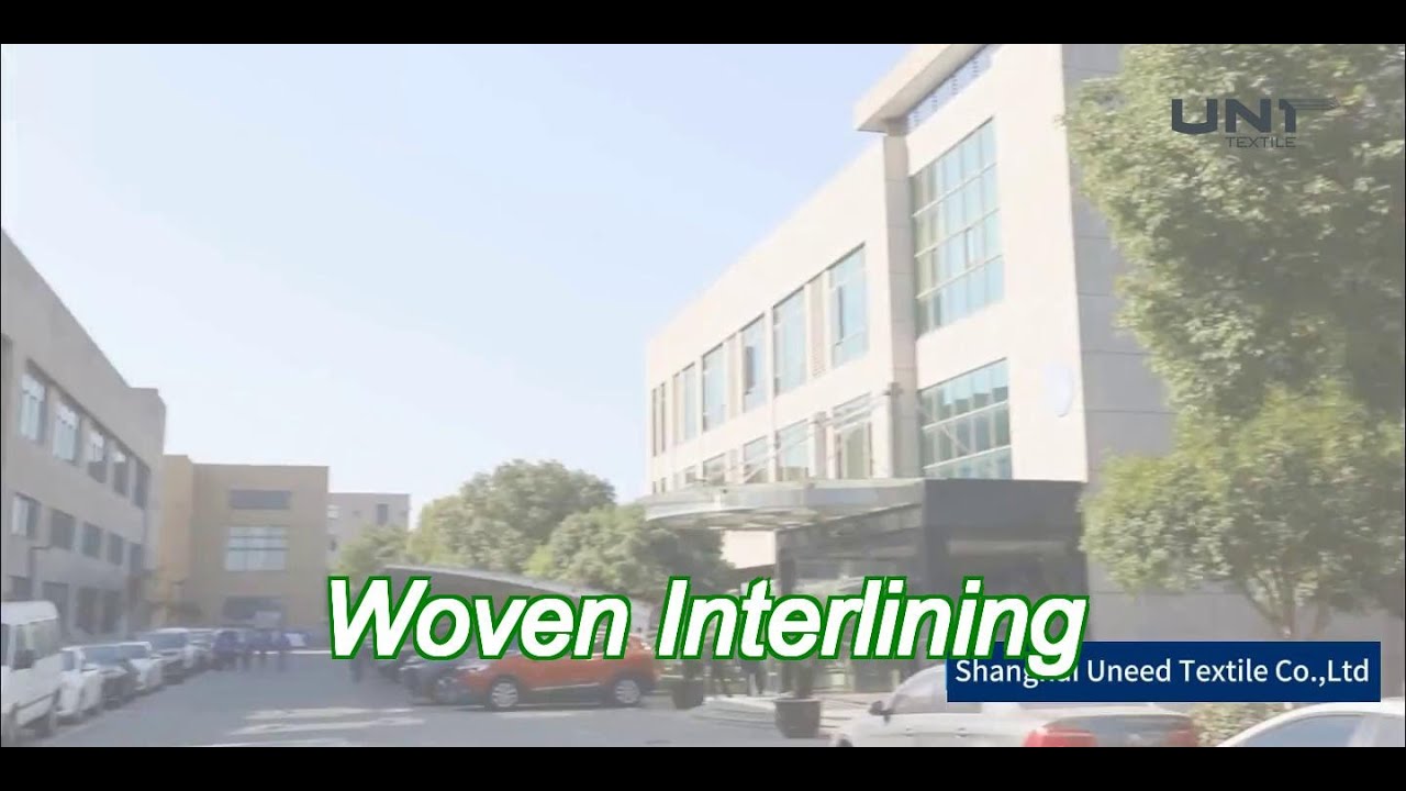 plain woven interlining fabric with 100gram weight pa/pes adhesive and 110*76 density for garment