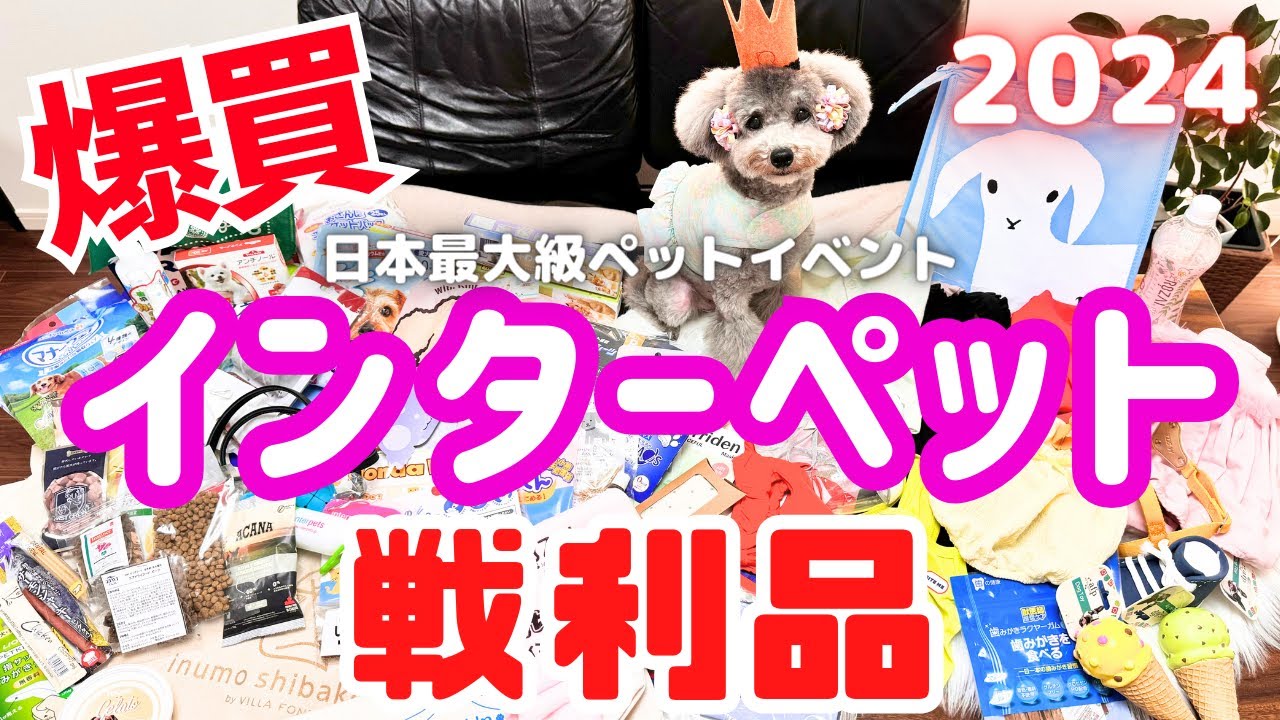 【インターペット2024】戦利品紹介！セール品爆買い＆無料サンプル、ノベルティーがすごすぎた！🐶💓【東京ビッグサイト】【犬イベント】