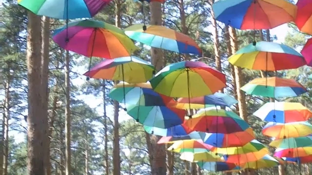 Аттракционы и Вековой сосновый бор День города Южноуральск 2021