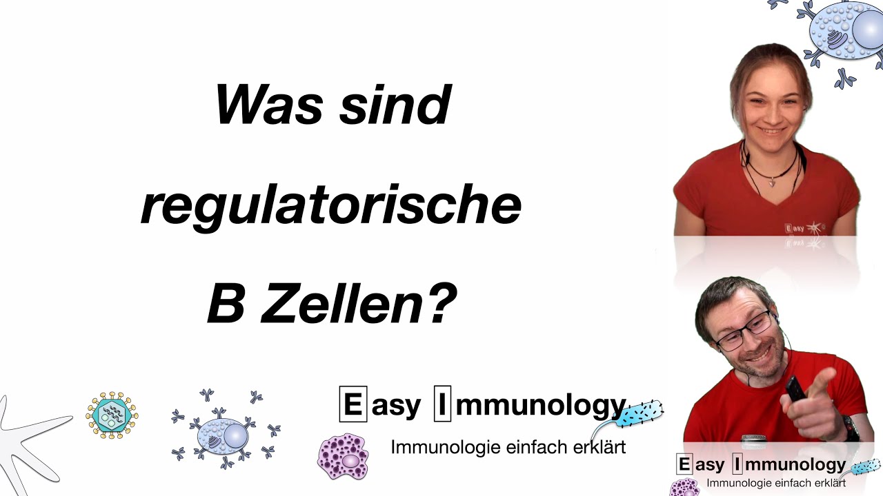Easy Immunology: Regulatorische B Zellen