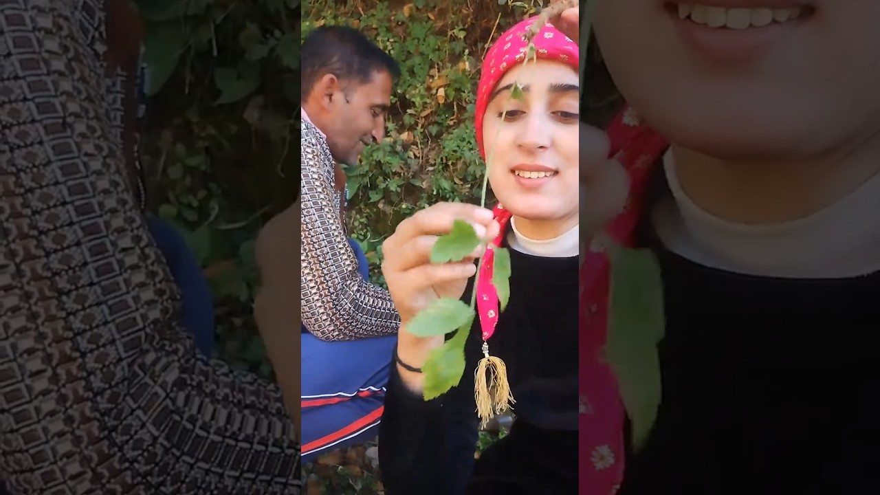 आज तो रोना आ गया 😫|| pahadi herbs 🌿#minivlog #village  #pahadivlogs #pahari #himachali