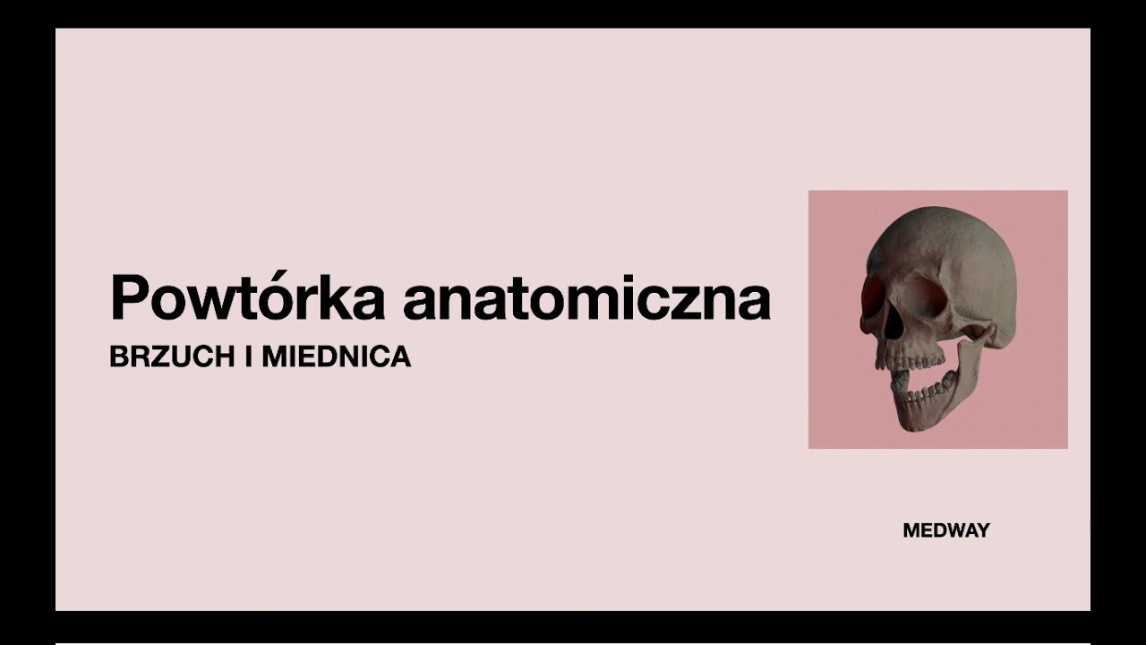 #1: Powtórka anatomiczna - BRZUCH I MIEDNICA